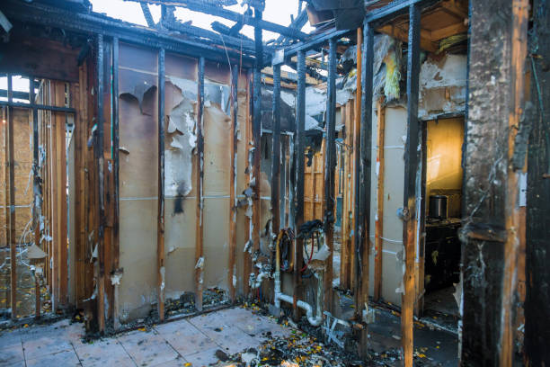 Professional Fire Damage Removal technician working in Woodlyn, PA